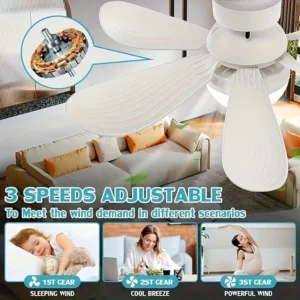 Stylish Ceiling Fan Light with Remote Control - Image 5